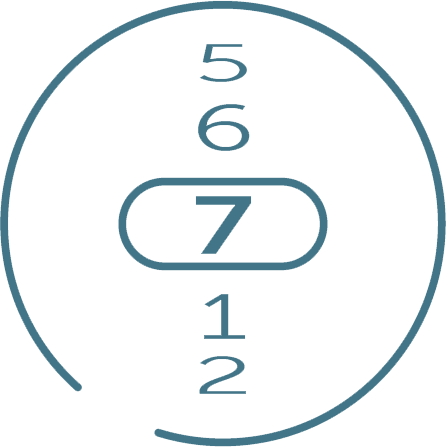 Selector de lancetas numerado
