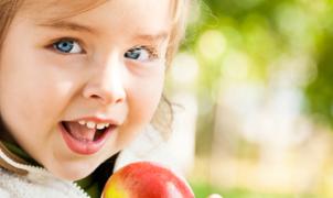 Dieta de alimentos ricos en fibras