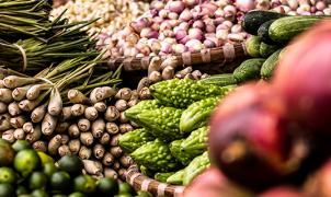 El índice Glucémico de los Alimentos